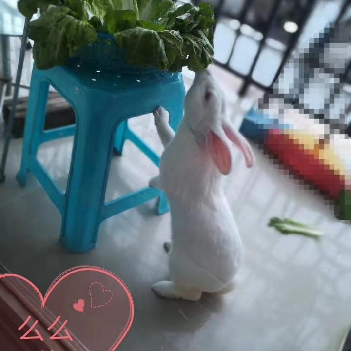 黑椒鸡米花