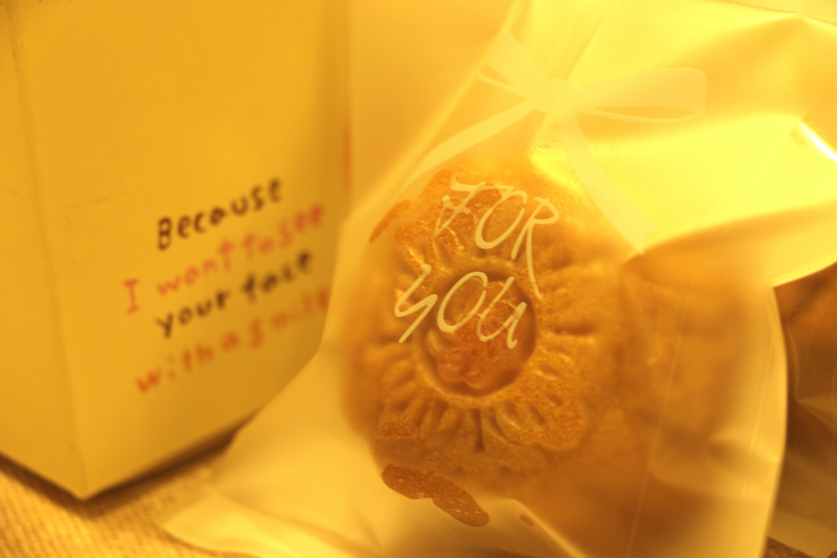 广式月饼—蛋黄莲蓉月饼