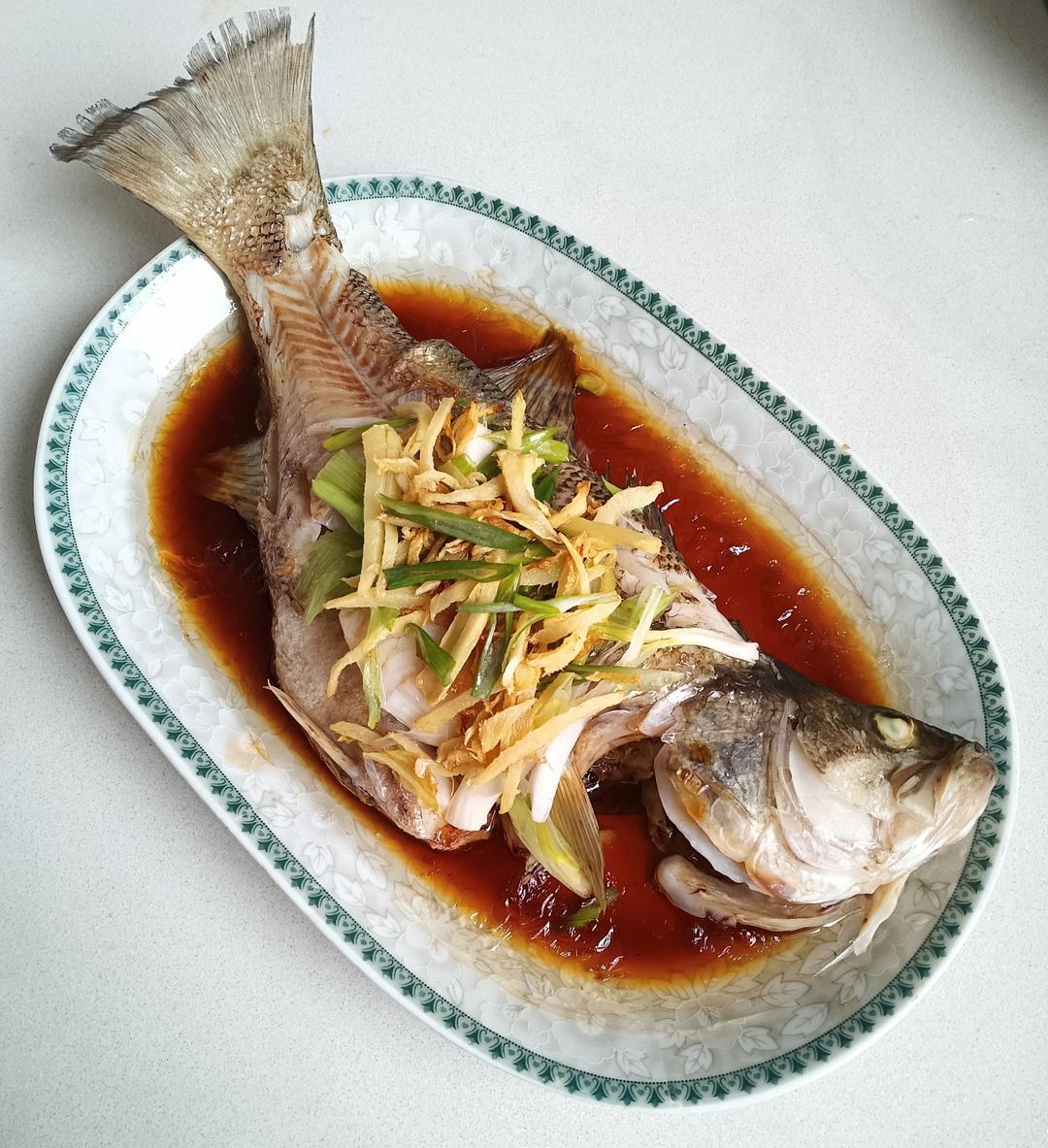 清蒸鲈鱼🐠最简单的做法，鱼肉鲜嫩无腥味！