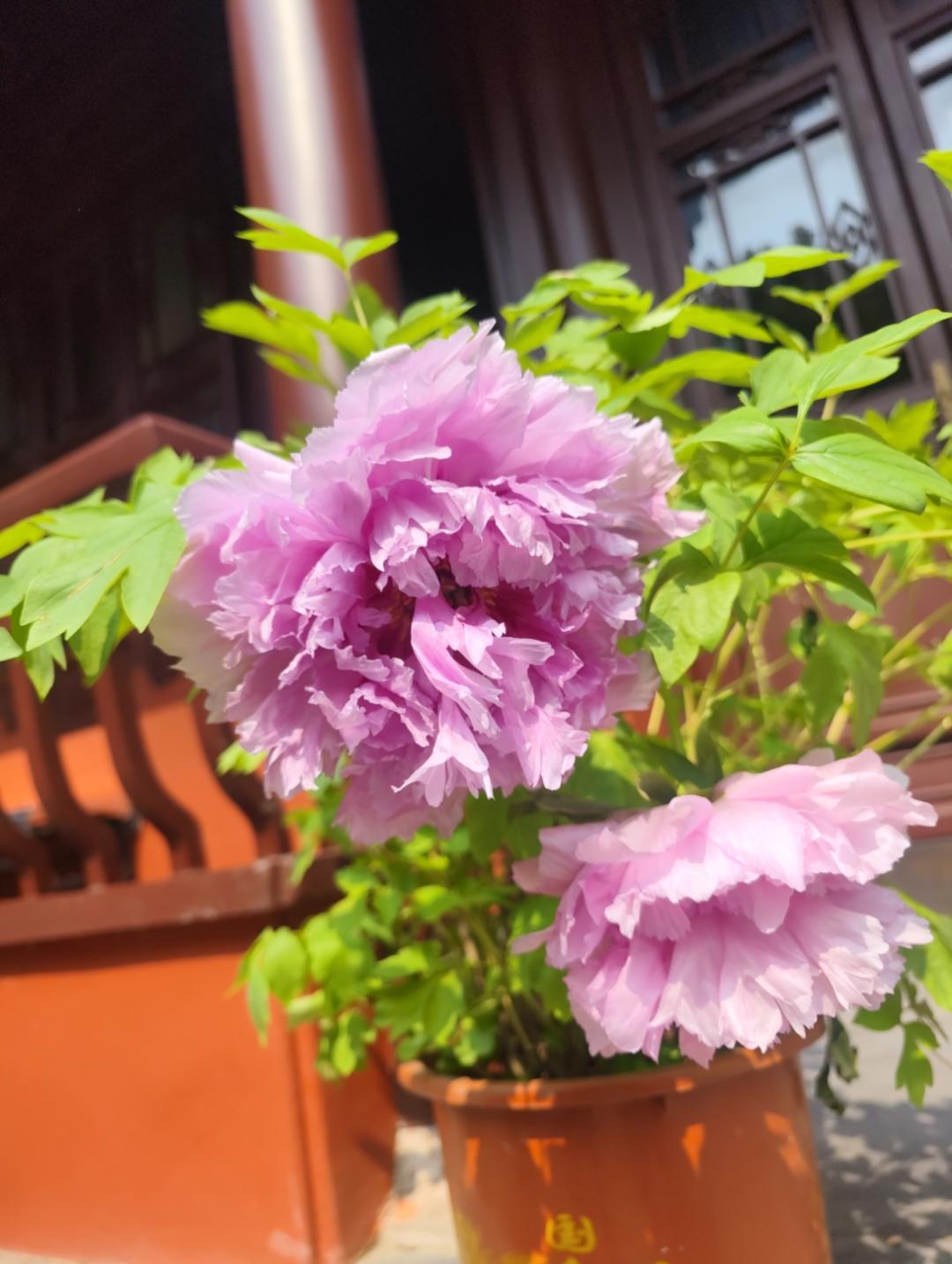 白开水才最好喝