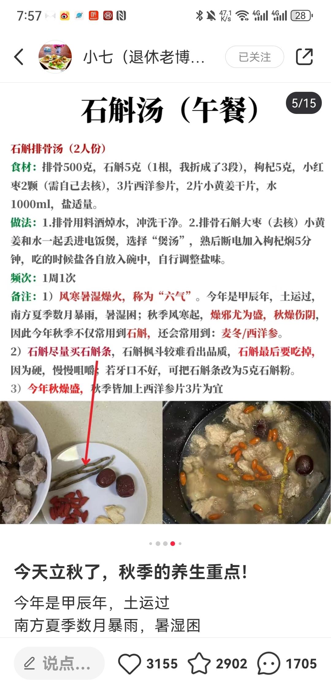 石斛汤-秋季养生（石斛 西洋参 红枣 枸杞）