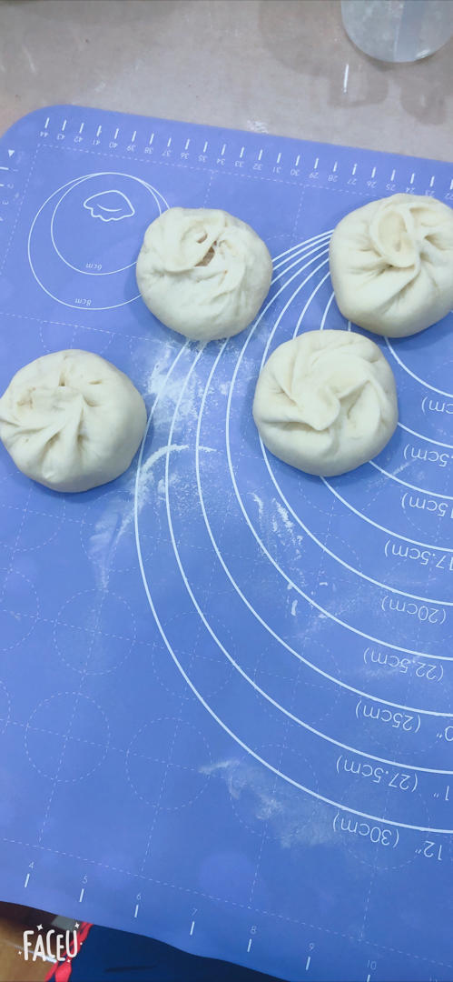 好吃多汁的肉包子肉馒头【步骤超详细】