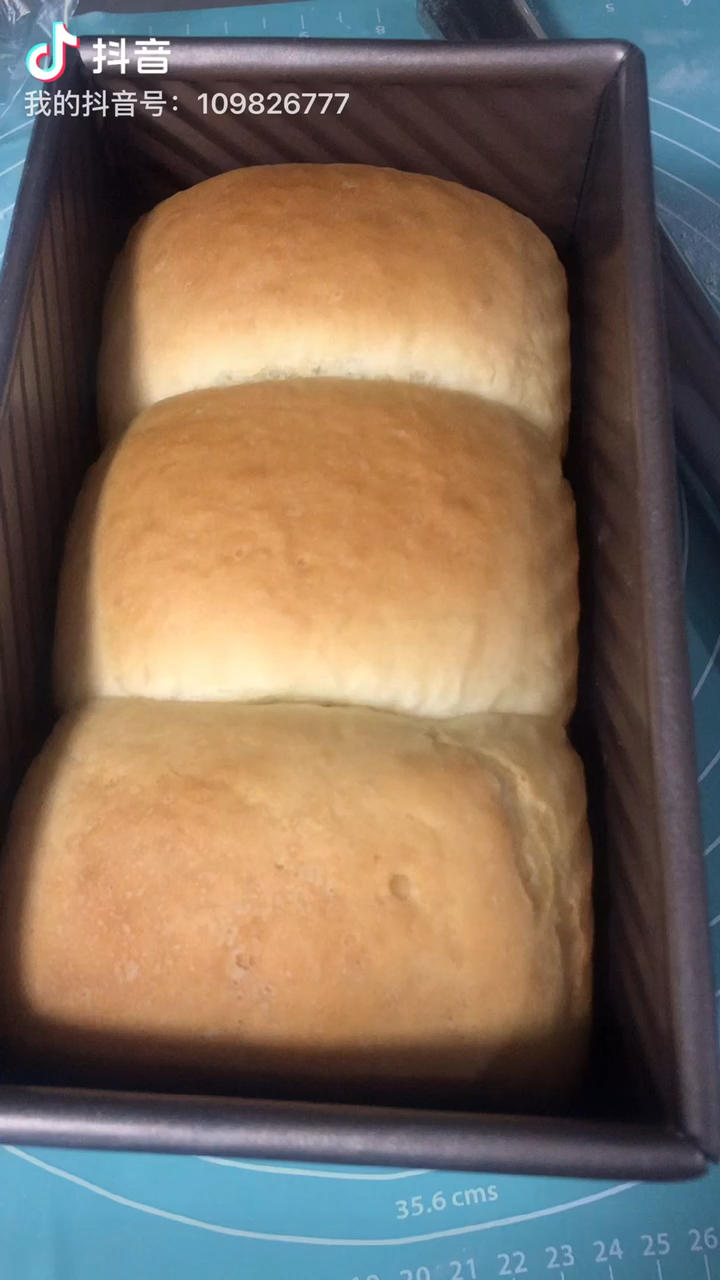 每周必撸的软吐司