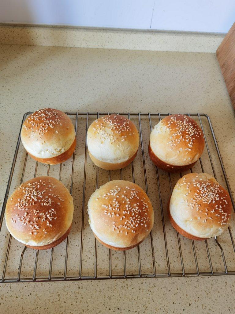 汉堡胚 poolish（波兰种）