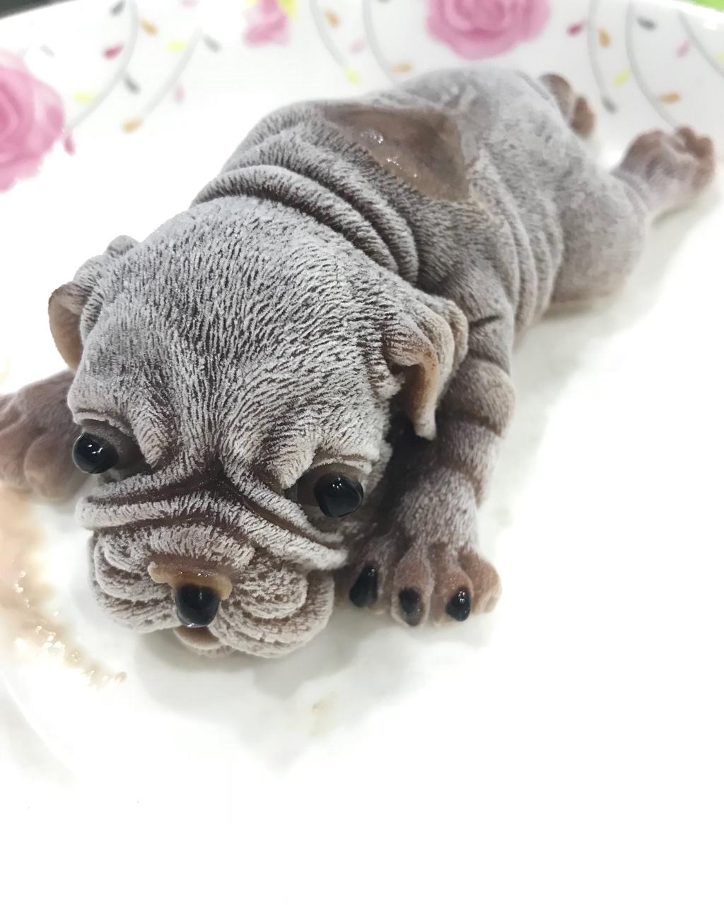 网红沙皮狗慕斯蛋糕