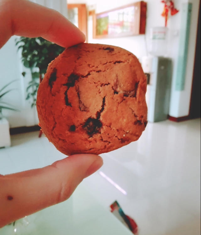 软韧的巧克力奇普饼干【玛莎斯图尔特】