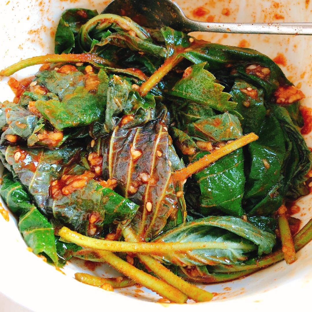 大胃王bigwang做的拌苏子叶