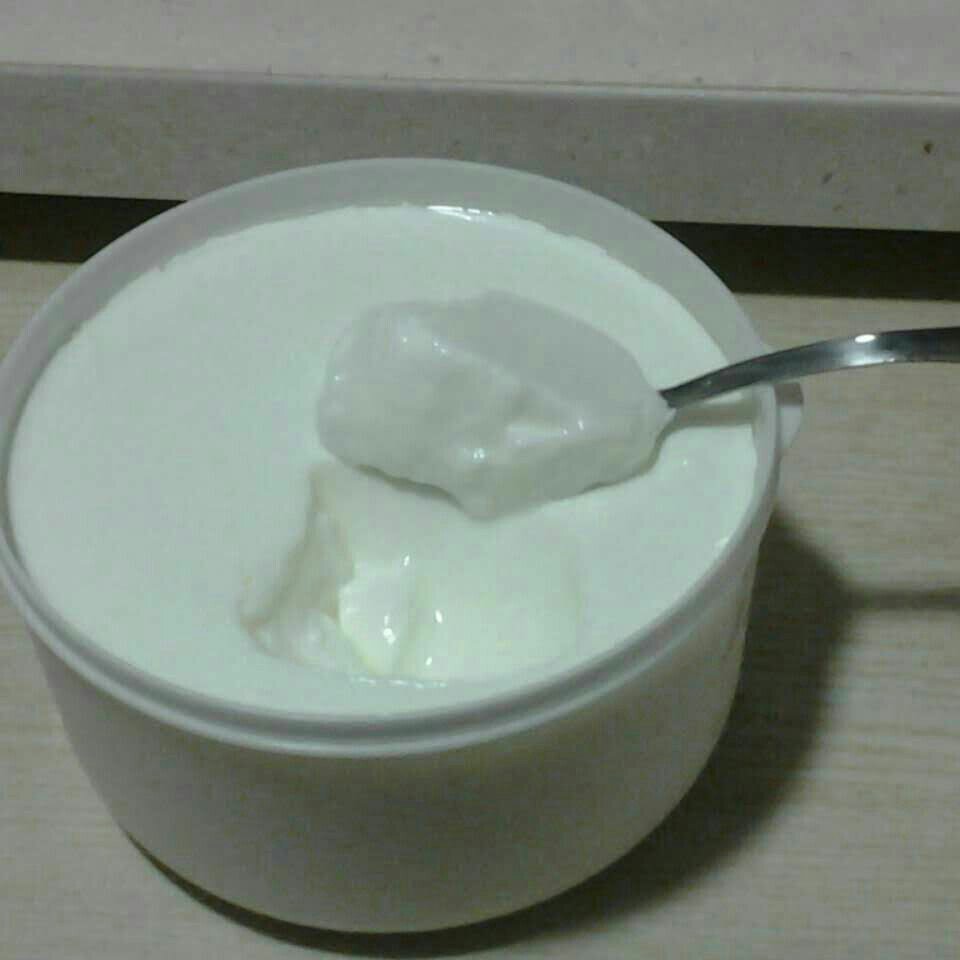 Superfood! —— 简易自制希腊酸奶