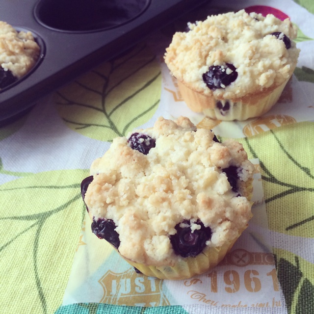 金宝顶爆浆蓝莓乳酪马芬（PH+川上文代）