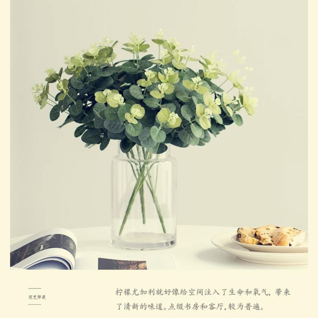yyuanyuan圆