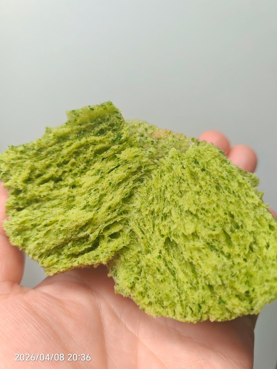 做一笼好吃的艾草馒头&艾草豆沙包