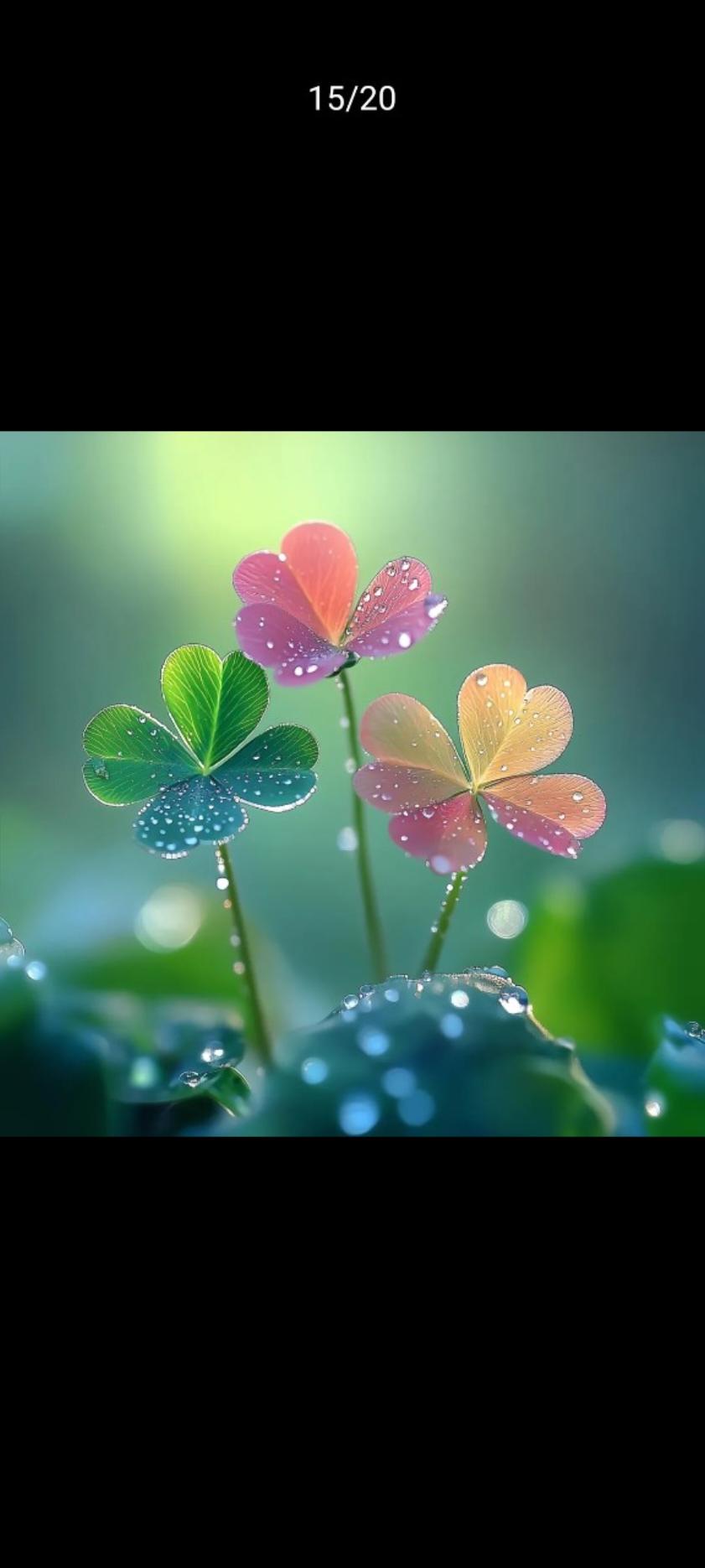 我的琴声唤醒了春天