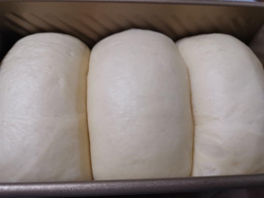 夺命软吐司(๑´ڡ`๑)超软拉丝极速方便的一次发酵吐司