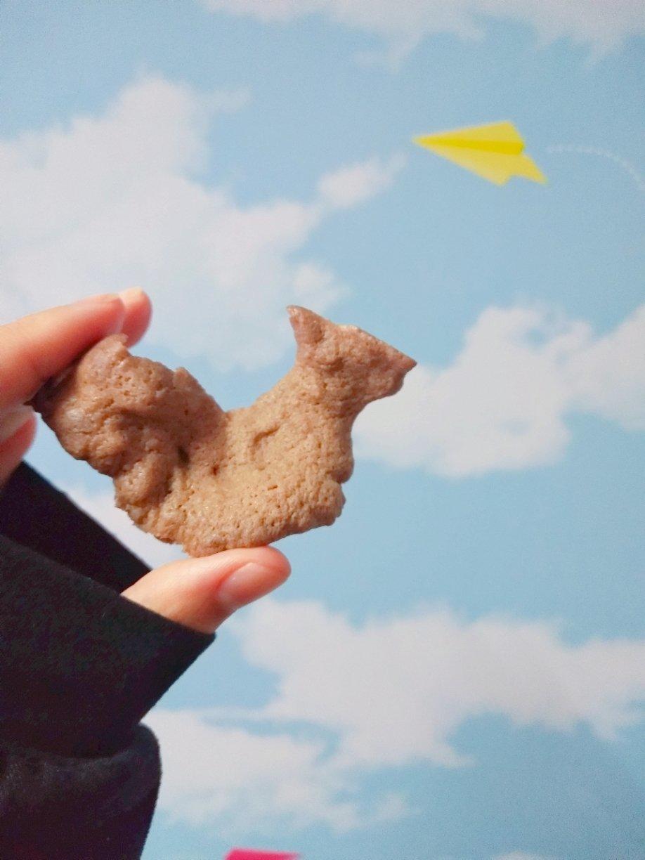 【生酮or低碳·微波炉可可蛋白粉饼干】
