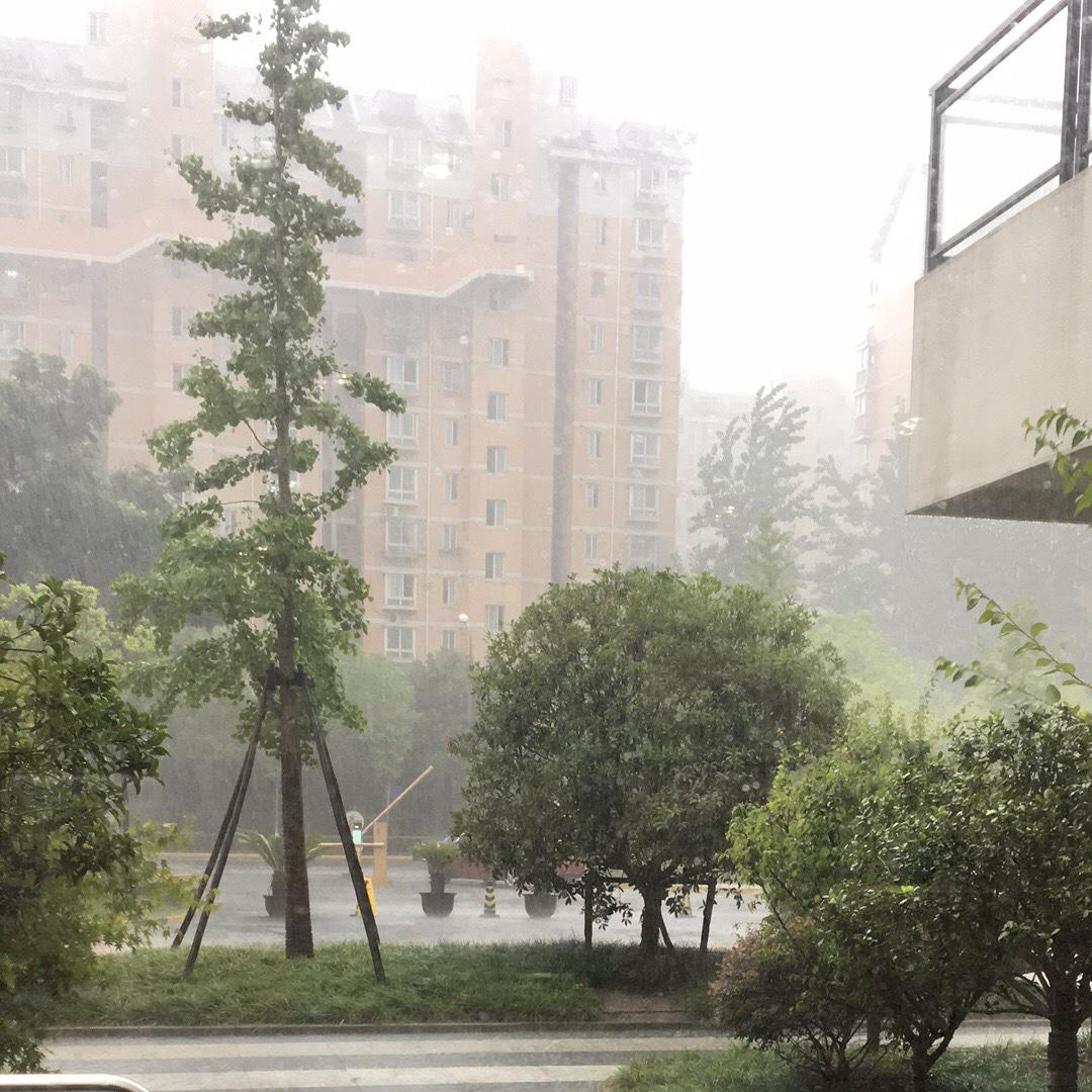 我的太阳雨的厨房