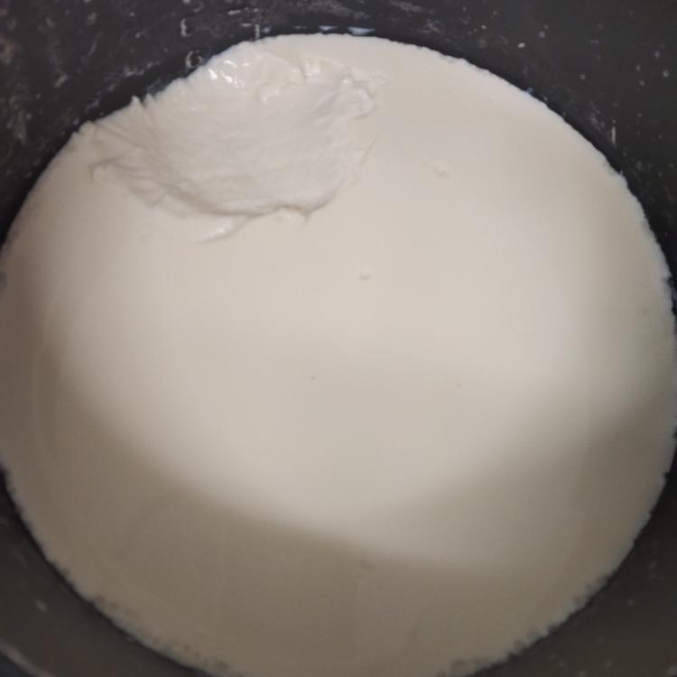 自制豆腐脑儿(豆浆豆脑豆腐豆渣馒头全有了)的做法