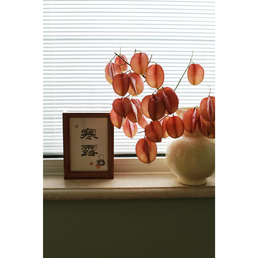 🍀岁月静好🌿
