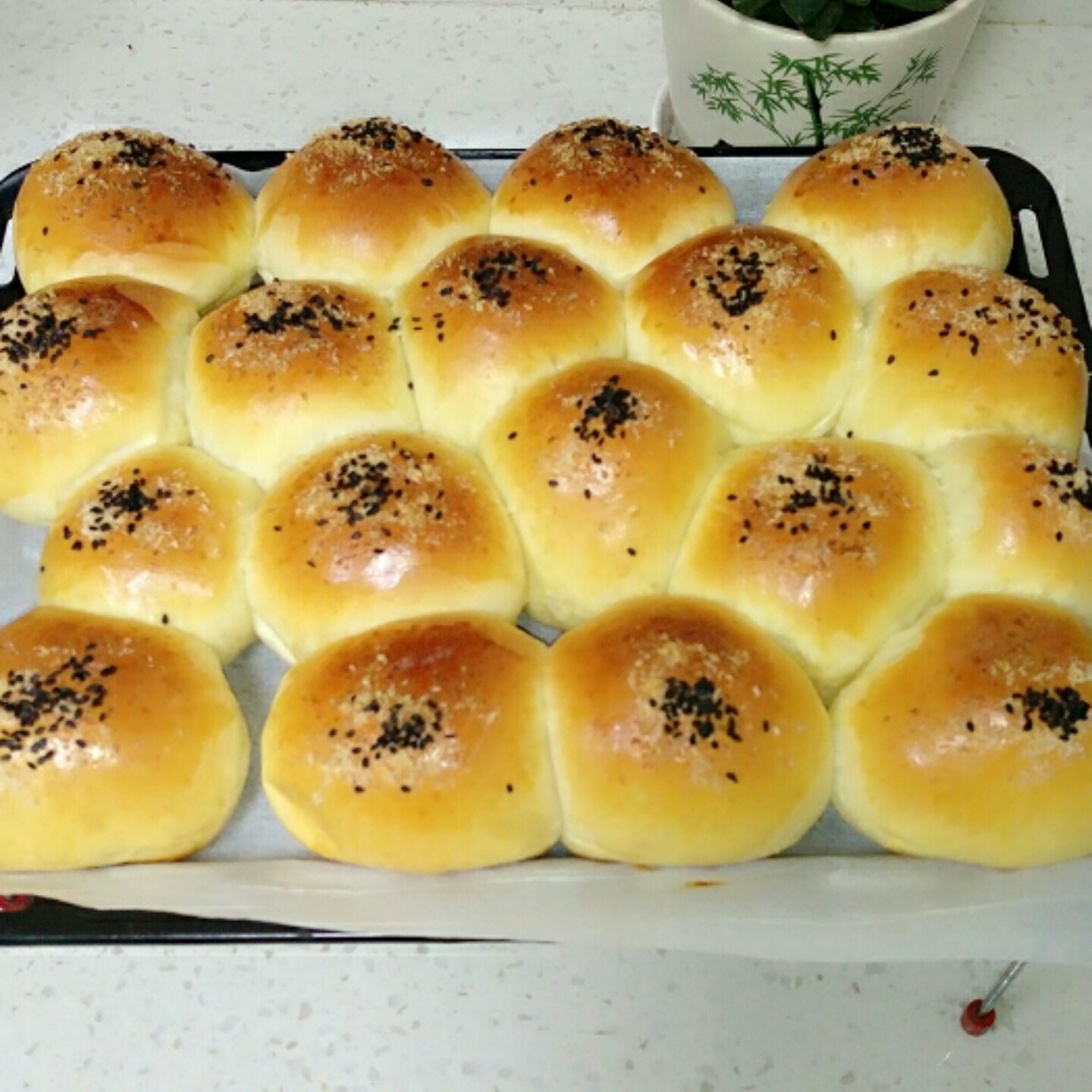 最好吃的酸奶小餐包