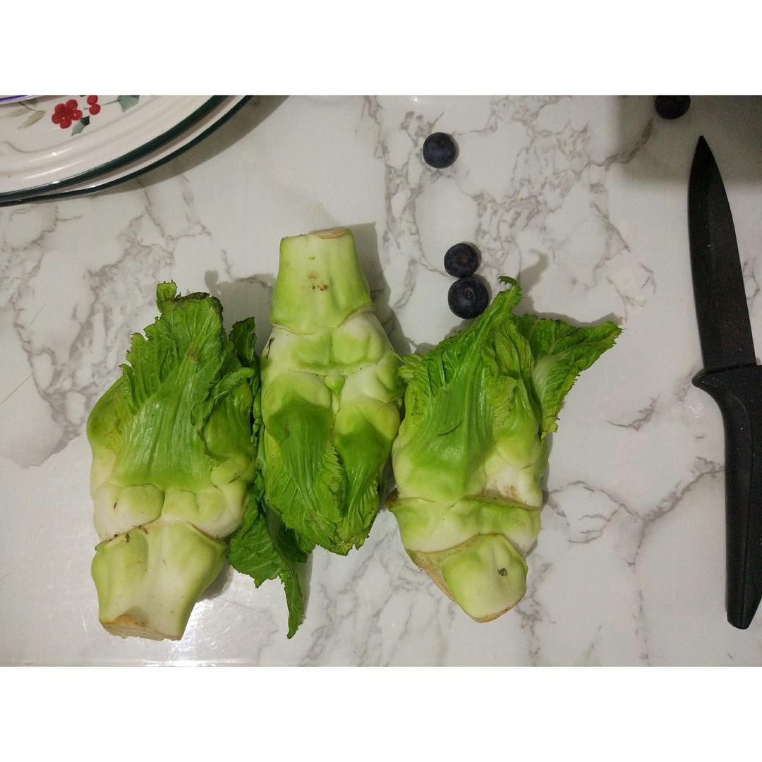舟月三角豆做的舟月三角豆の大后方