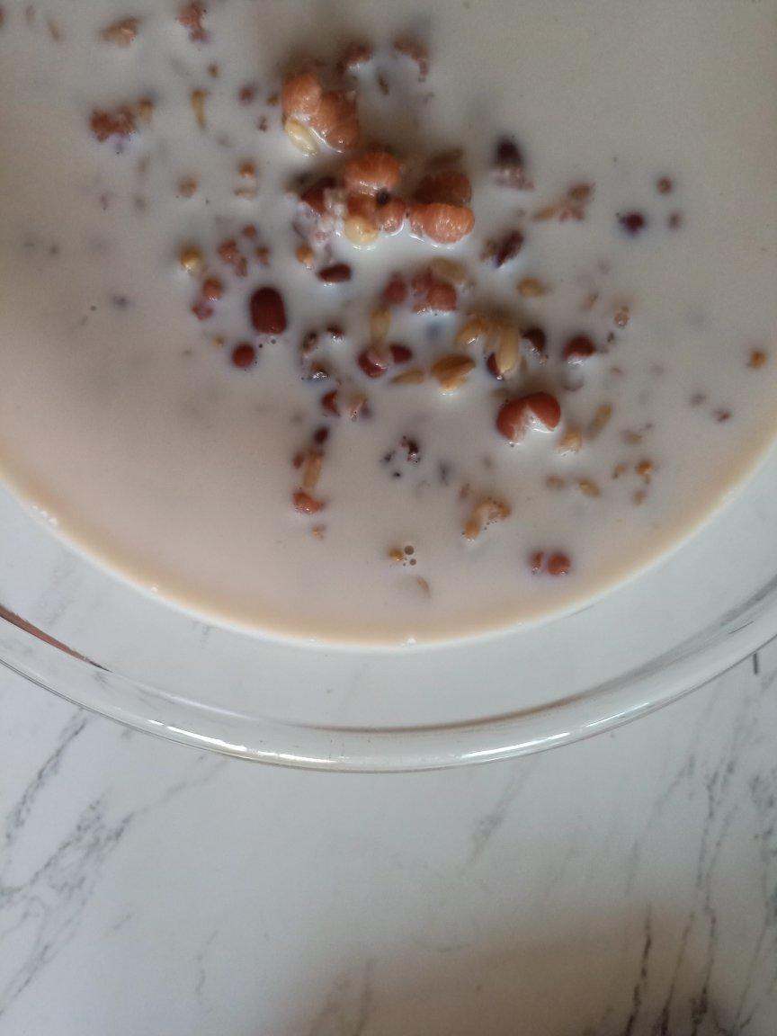 红枣红豆薏仁牛奶粥