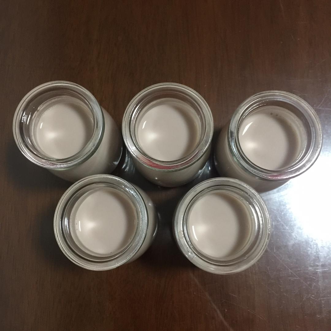 少女红豆牛奶花胶冻