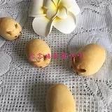 手机用户7055_zj9u