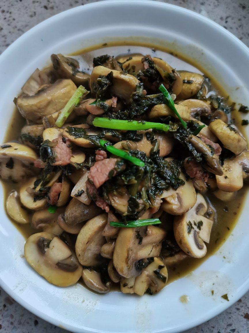 雪菜蘑菇炒里脊