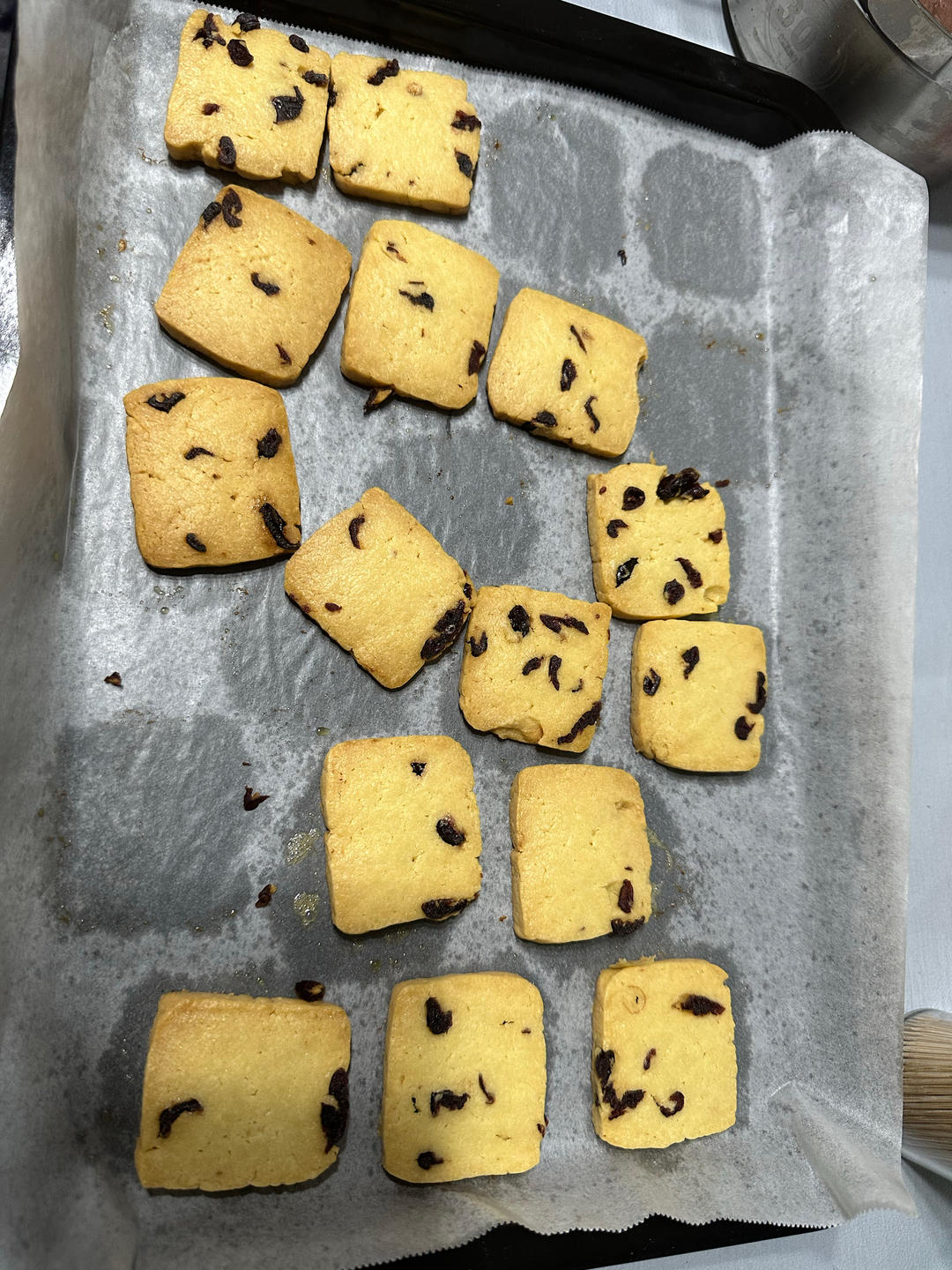 蔓越莓饼干--新手烘焙0压力 #皮黑森林#