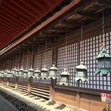 贝想天开
