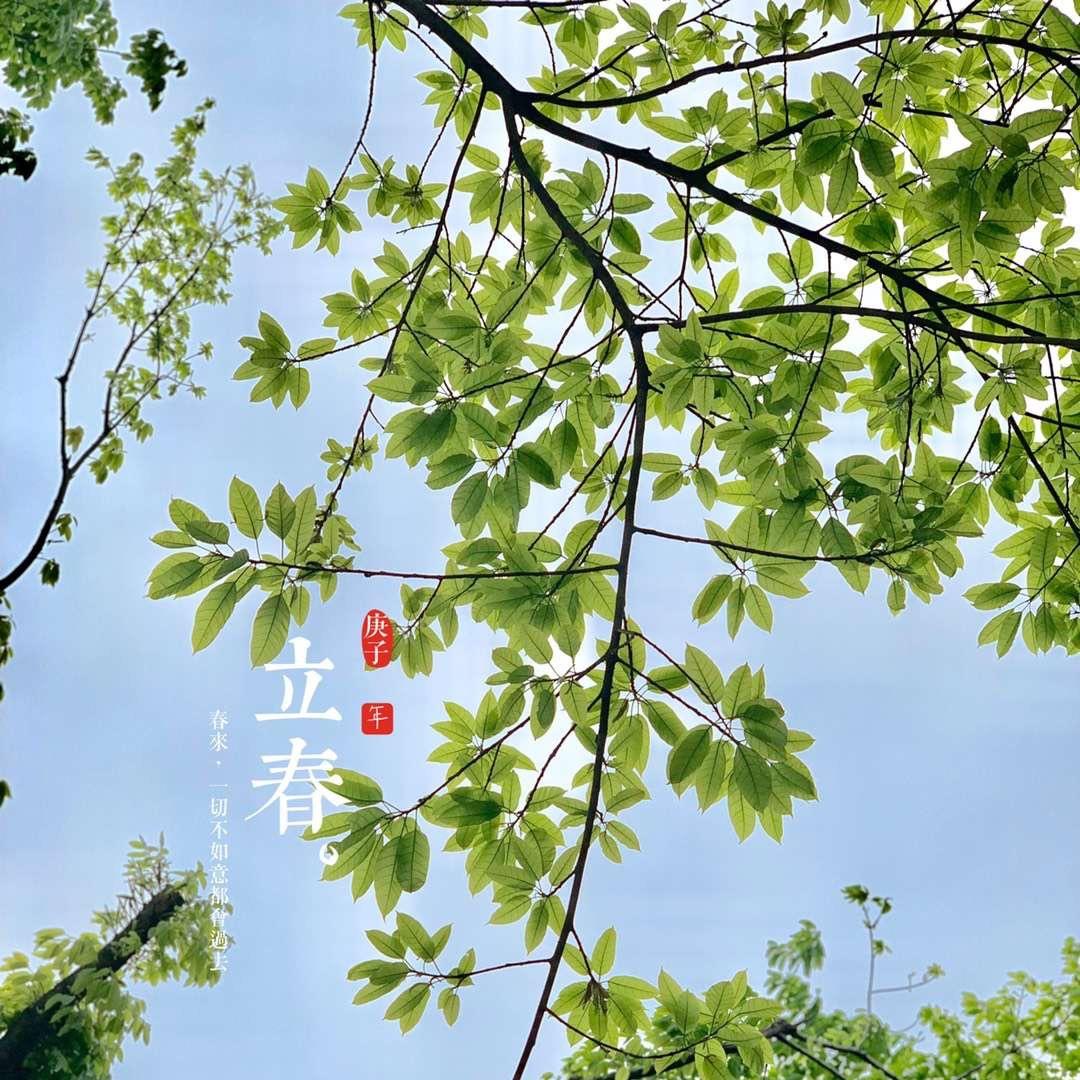 张大仙万岁