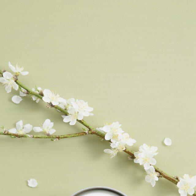 y黑布林