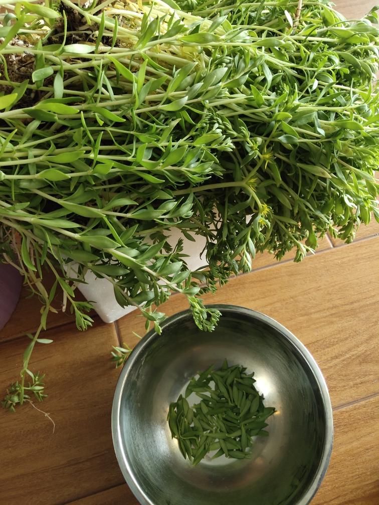 浓郁的艾草薄荷膏