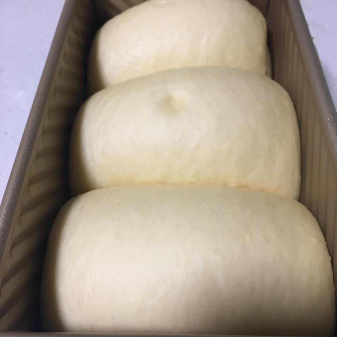 北海道巨蛋吐司