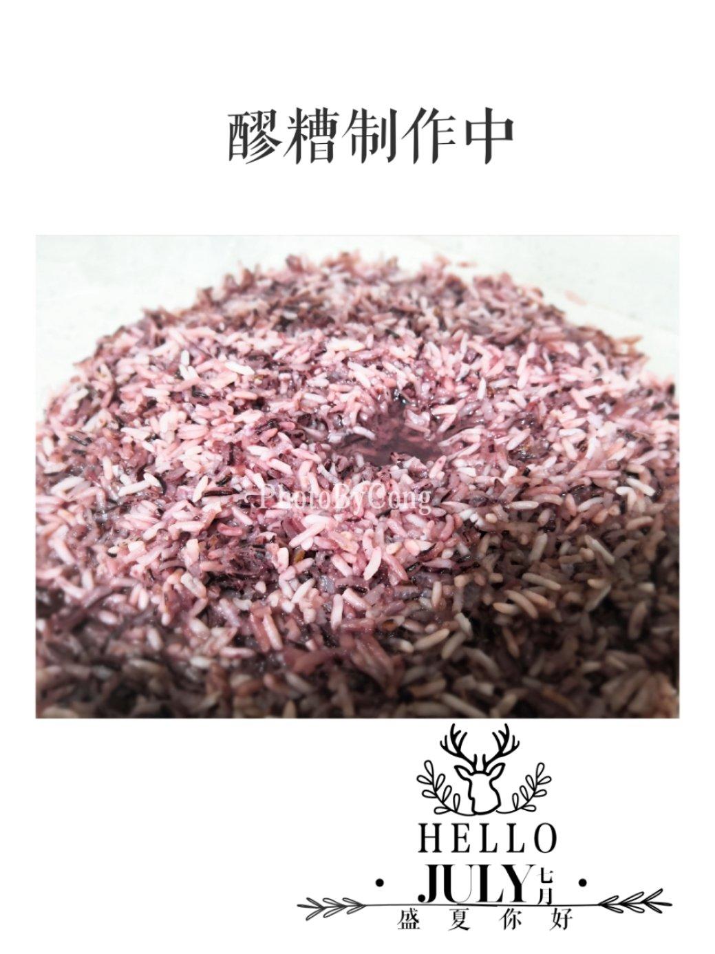 酒酿 (酒酿系列一）
