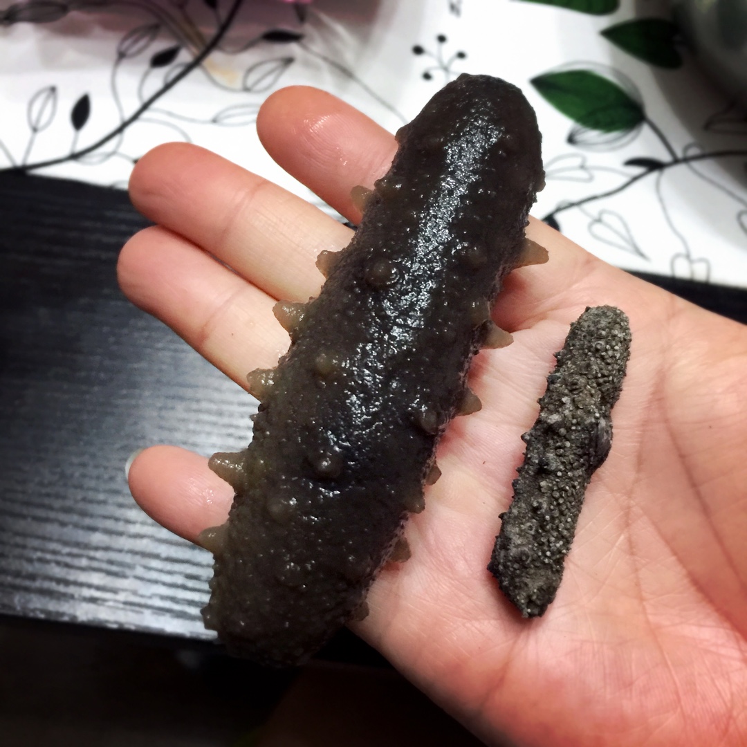 海参泡发攻略