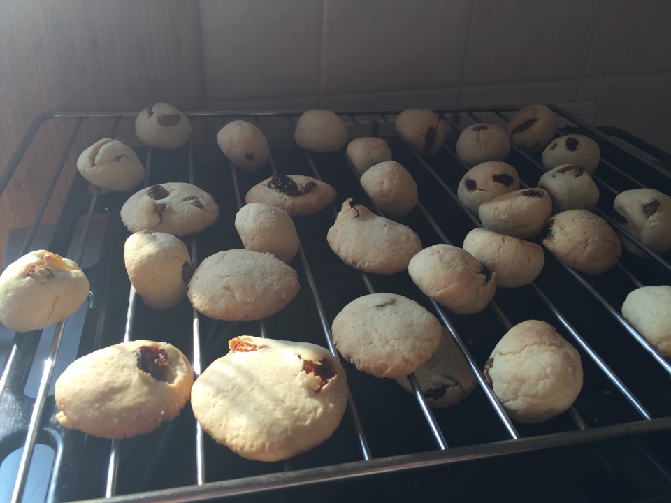 椰丝葡萄干饼干