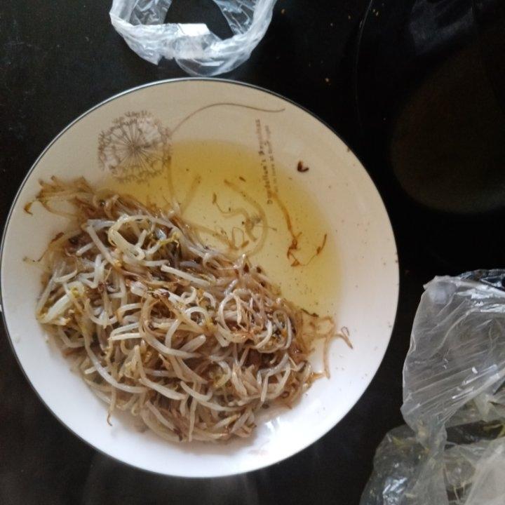 清炒豆芽