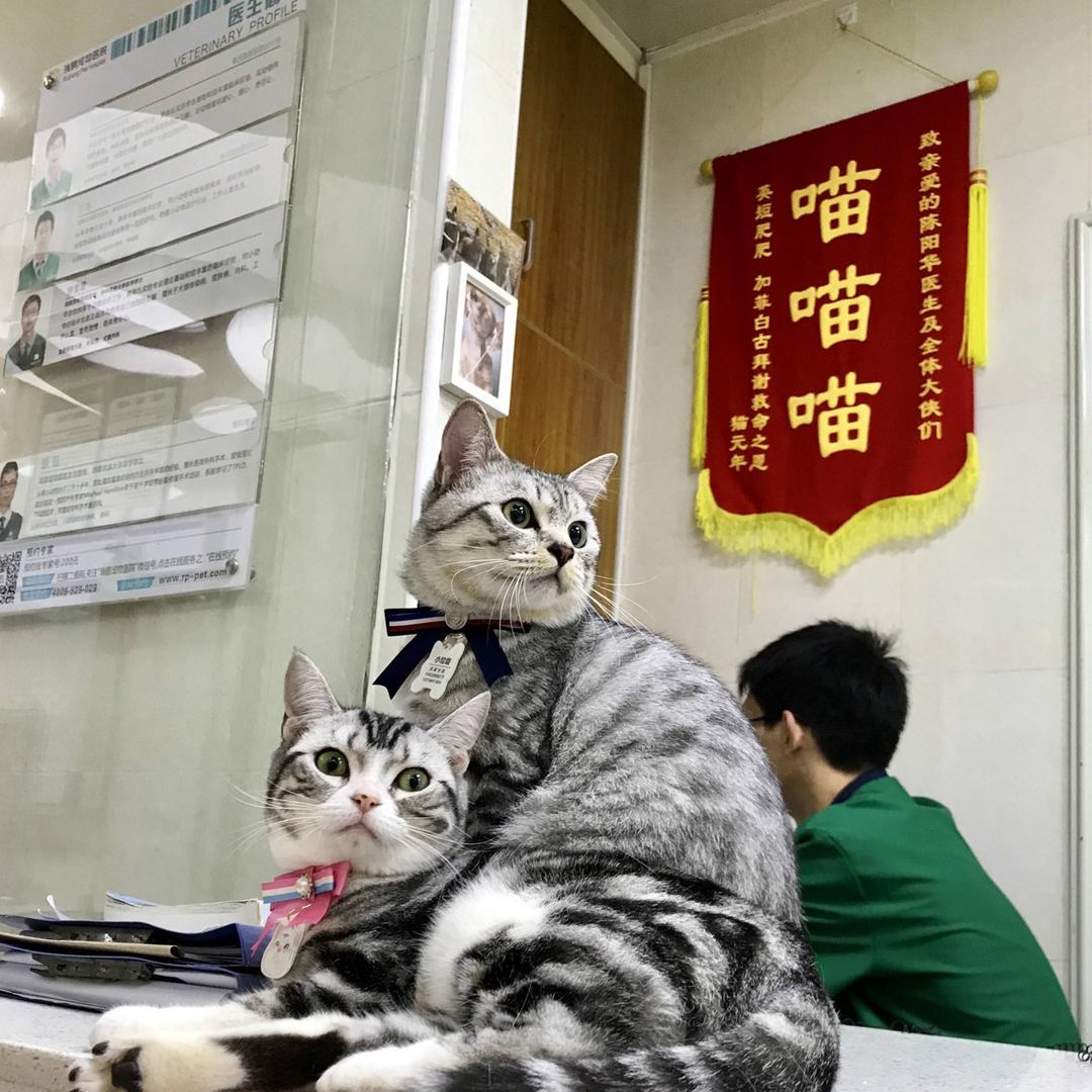苡墨妈