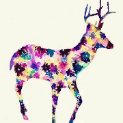 原来你是一只鹿啊