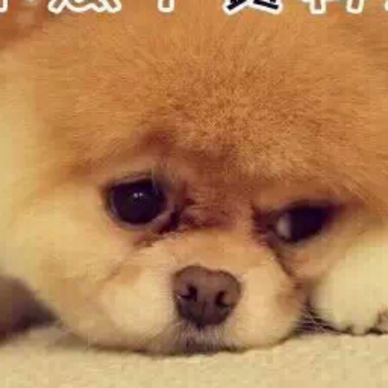 春华秋实-36