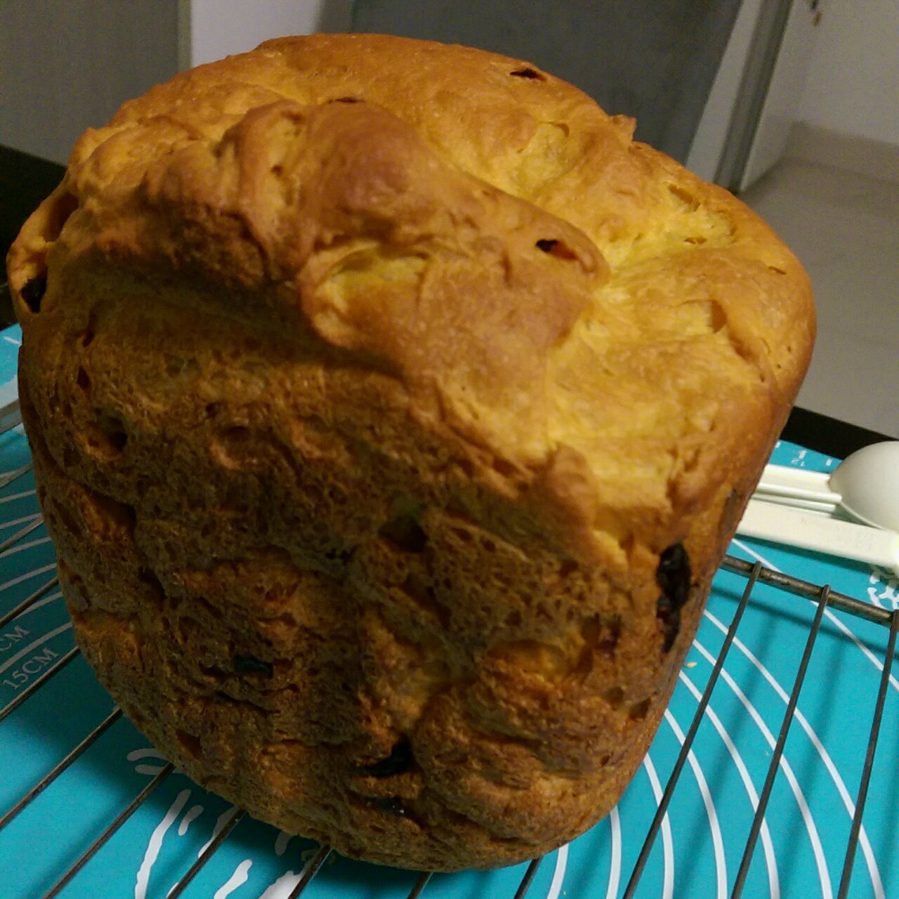 佛卡夏-松下面包机