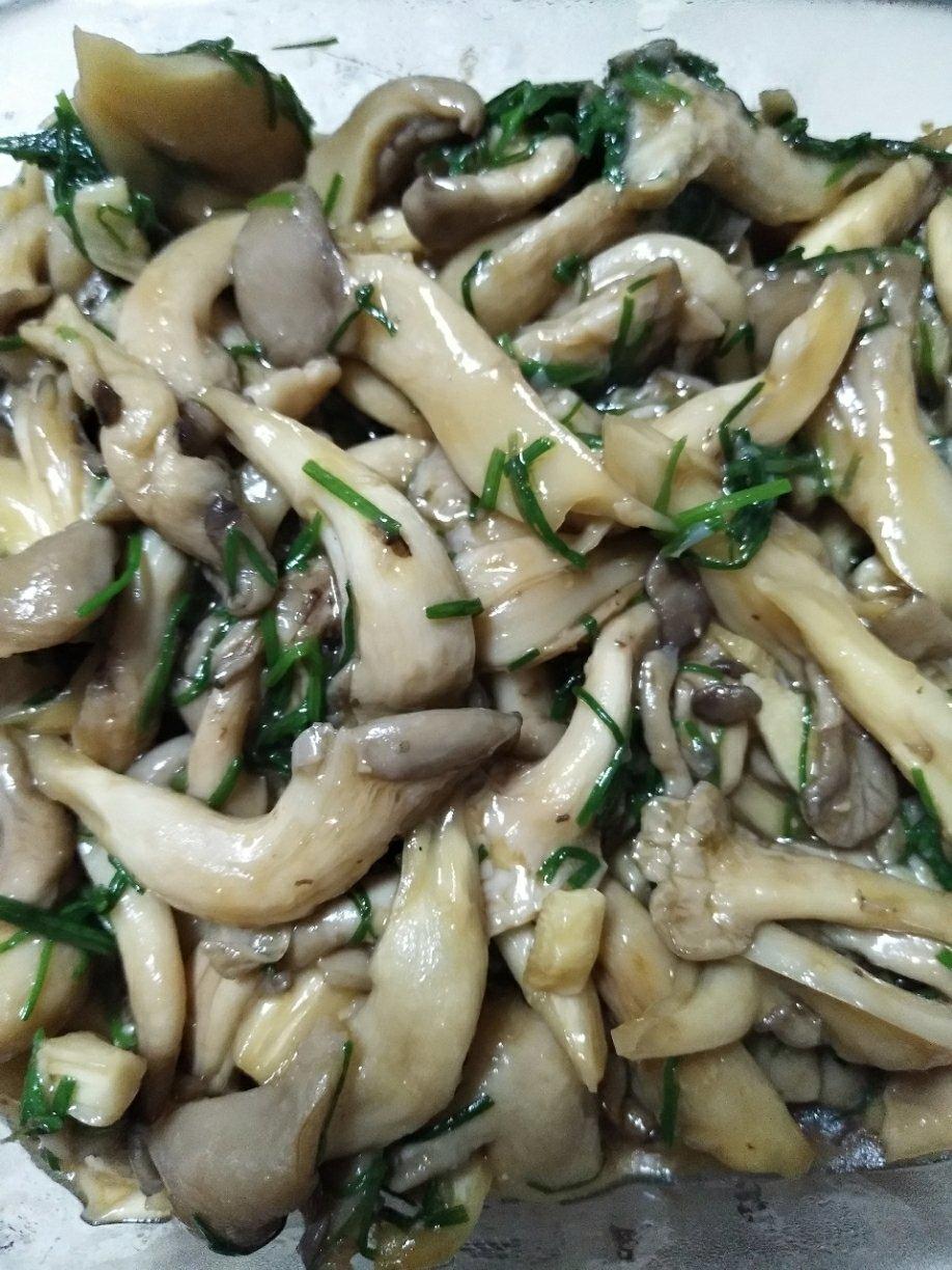 【下饭快手菜】蚝油秀珍菇