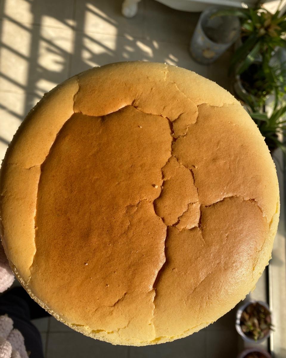 轻乳酪蛋糕（瑞可爷爷同款）网红轻乳酪