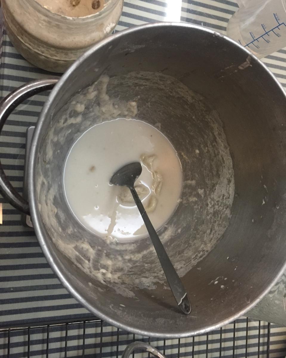 天然酵母宝宝养成记