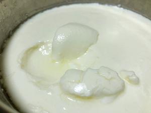 自制奶油奶酪或者酸奶奶酪【类似希腊酸奶】的做法 步骤6