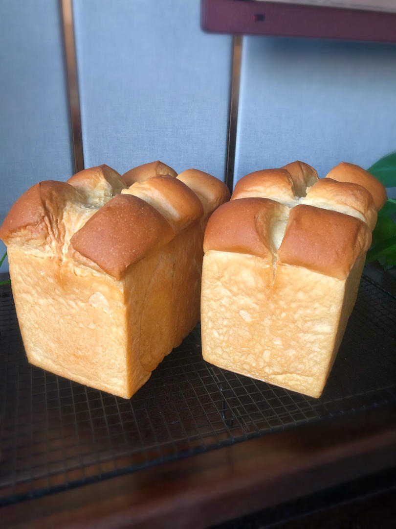 伊可儿做的鲜奶液种超熟吐司