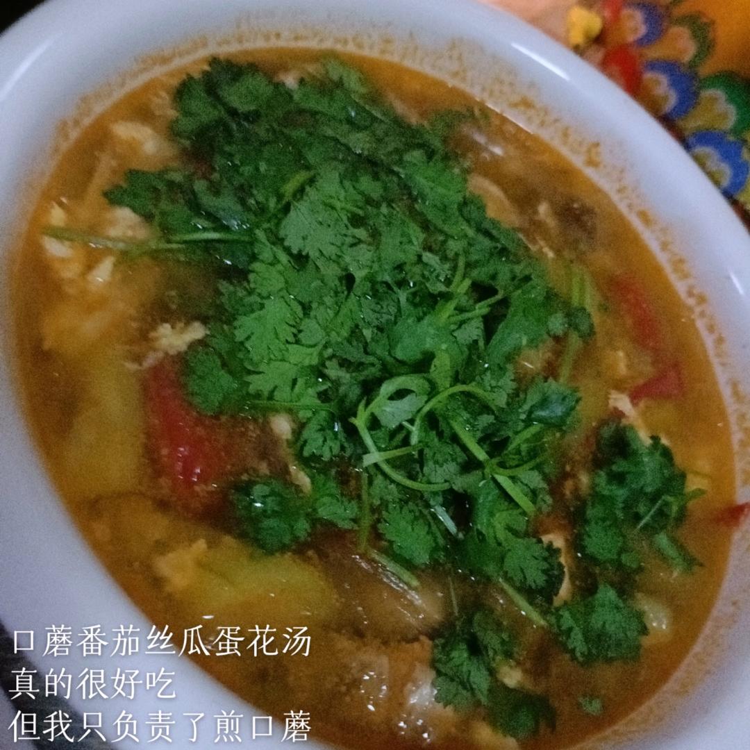 【跟我做不会错】简单又好喝的西红柿鸡蛋汤，家常又营养哦