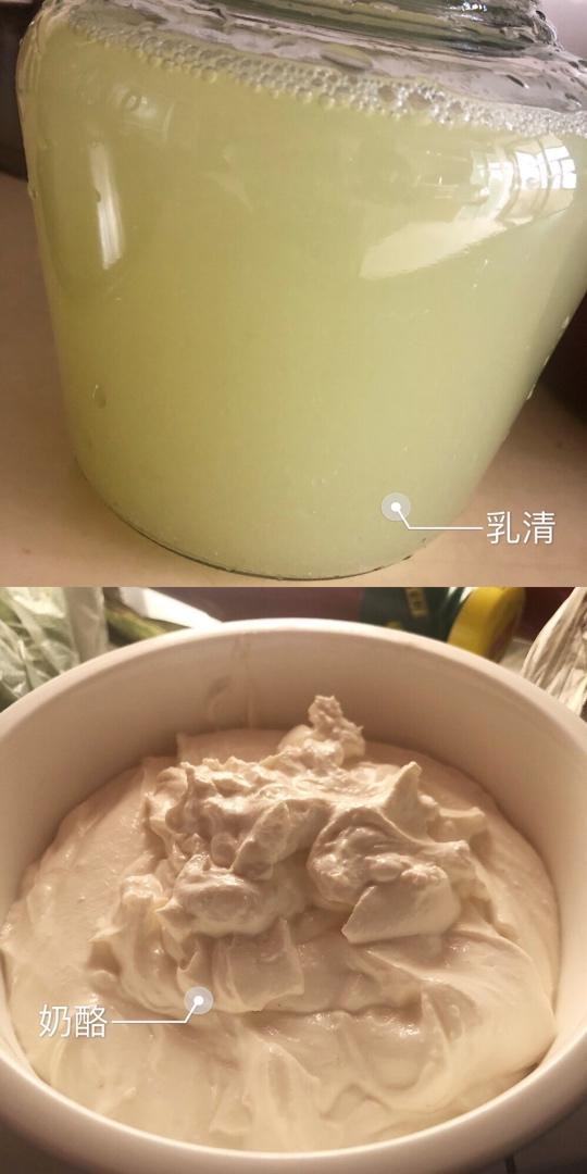 自制茅屋奶酪+快手吃法推荐（cottage cheese）丨健康·零食