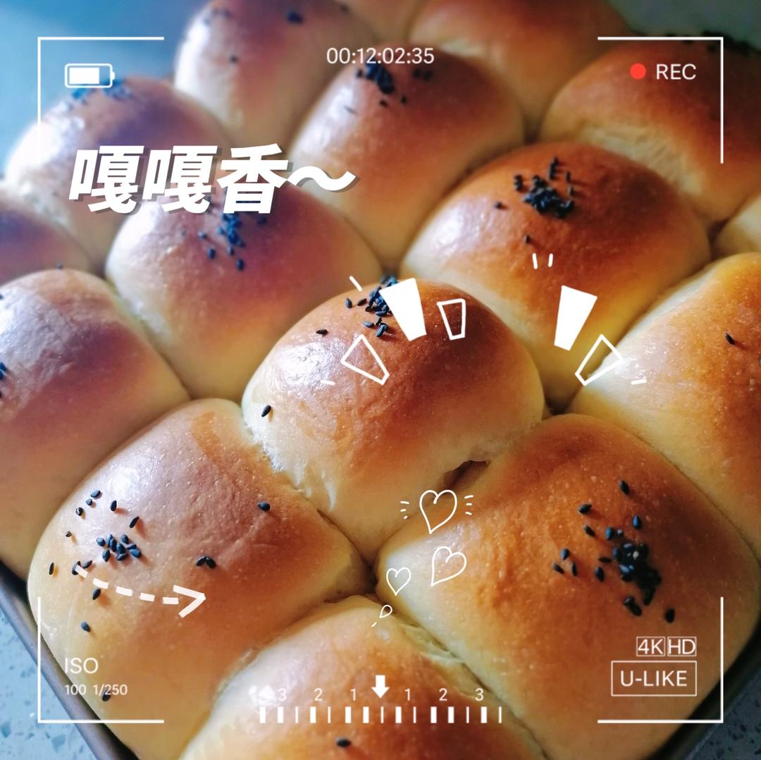 简单快手，一次发酵，柔软拉丝的牛奶小餐包（28*23烤盘）—烤箱版食谱