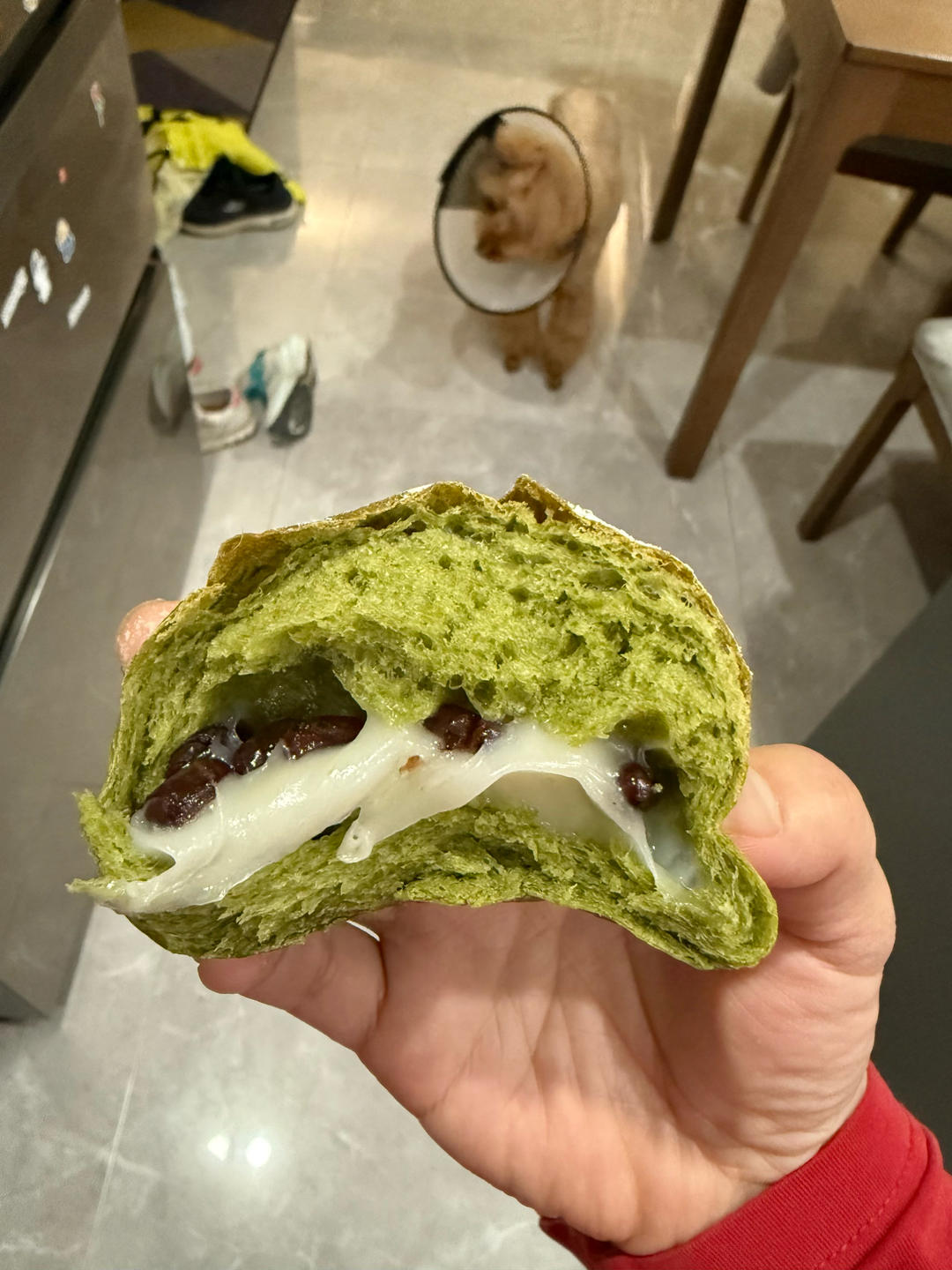 成功率100%的抹茶麻薯小餐包